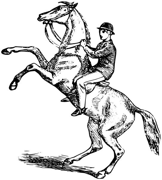 Drawing of a Bucking Horse